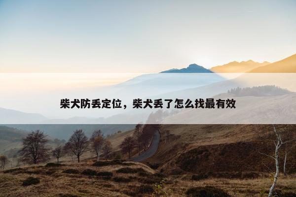 柴犬防丢定位，柴犬丢了怎么找最有效