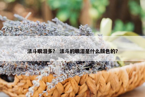 法斗眼泪多？ 法斗的眼泪是什么颜色的？