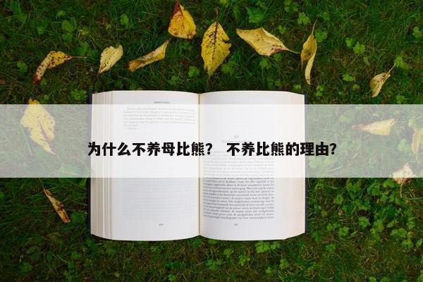 为什么不养母比熊？ 不养比熊的理由？