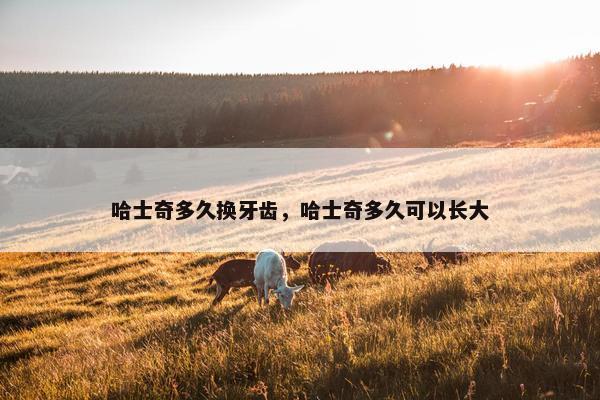 哈士奇多久换牙齿，哈士奇多久可以长大