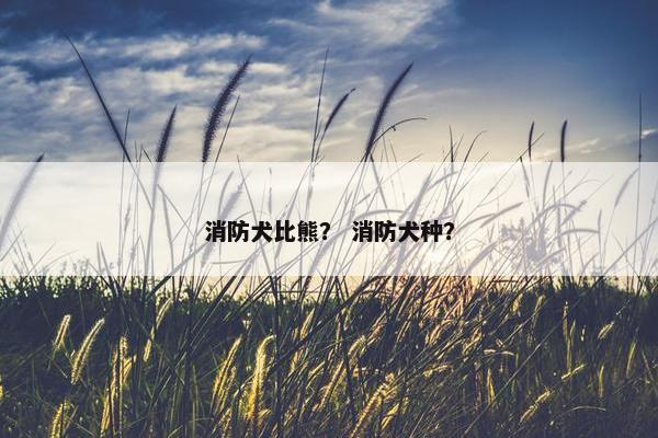 消防犬比熊？ 消防犬种？