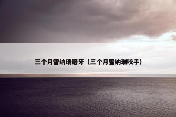 三个月雪纳瑞磨牙（三个月雪纳瑞咬手）