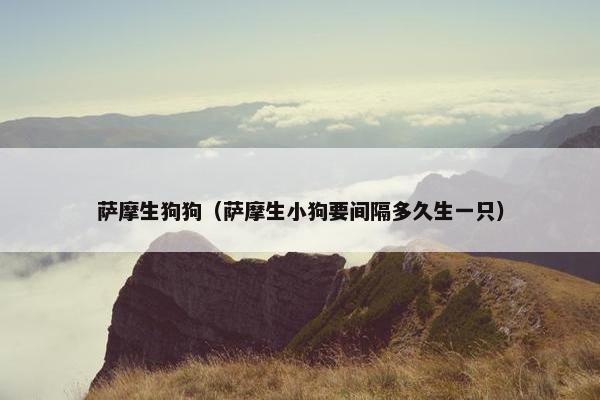 萨摩生狗狗（萨摩生小狗要间隔多久生一只）