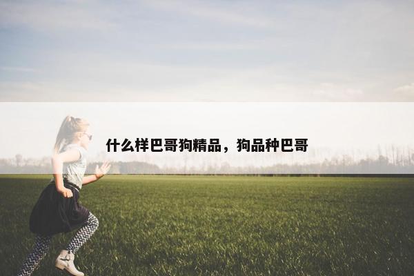 什么样巴哥狗精品，狗品种巴哥