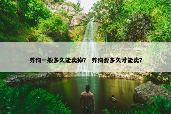 养狗一般多久能卖掉？ 养狗要多久才能卖？