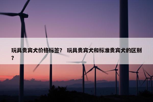 玩具贵宾犬价格标签？ 玩具贵宾犬和标准贵宾犬的区别？