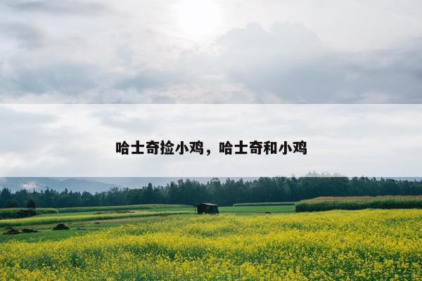 哈士奇捡小鸡，哈士奇和小鸡