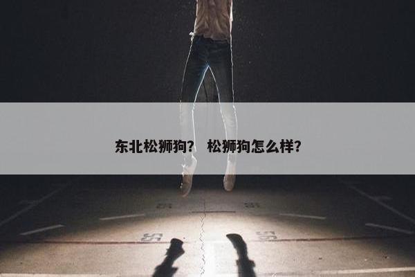 东北松狮狗？ 松狮狗怎么样？