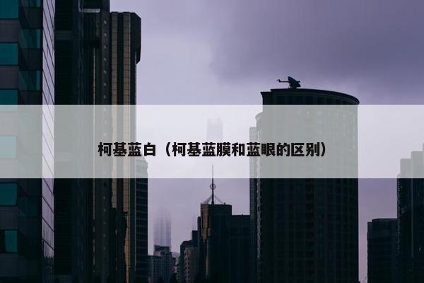 柯基蓝白（柯基蓝膜和蓝眼的区别）
