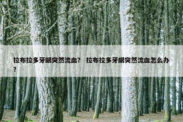 拉布拉多牙龈突然流血？ 拉布拉多牙龈突然流血怎么办？