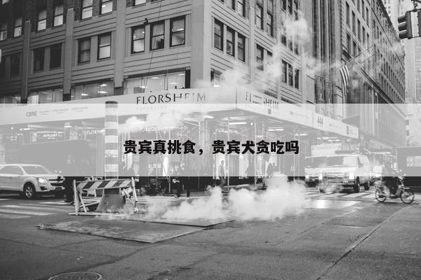 贵宾真挑食，贵宾犬贪吃吗