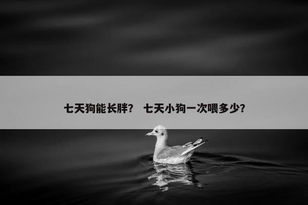 七天狗能长胖？ 七天小狗一次喂多少？