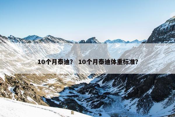 10个月泰迪？ 10个月泰迪体重标准？