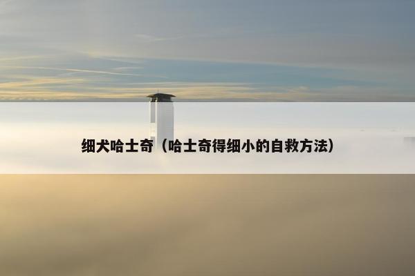 细犬哈士奇（哈士奇得细小的自救方法）