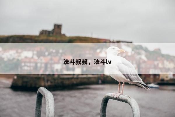 法斗叔叔，法斗lv