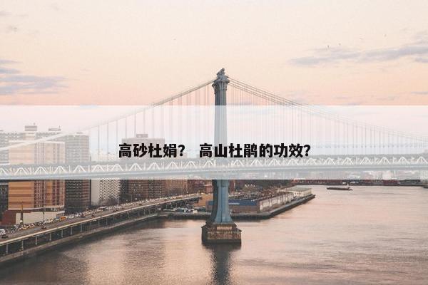 高砂杜娟？ 高山杜鹃的功效？
