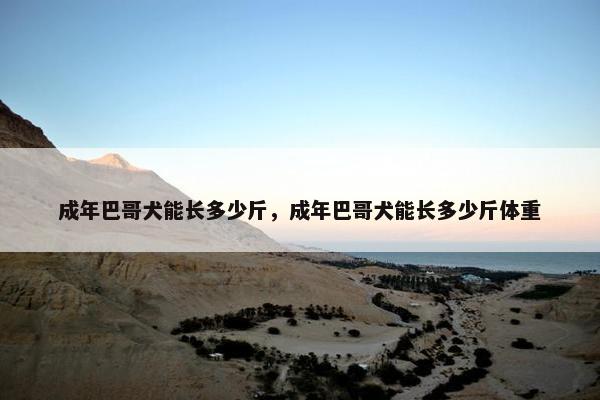 成年巴哥犬能长多少斤，成年巴哥犬能长多少斤体重