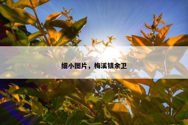 细小图片，梅溪镇余卫