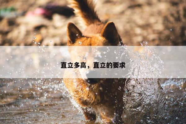 直立多高，直立的要求