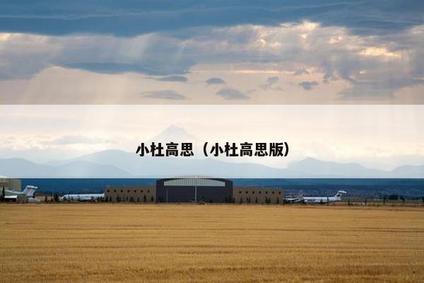 小杜高思（小杜高思版）