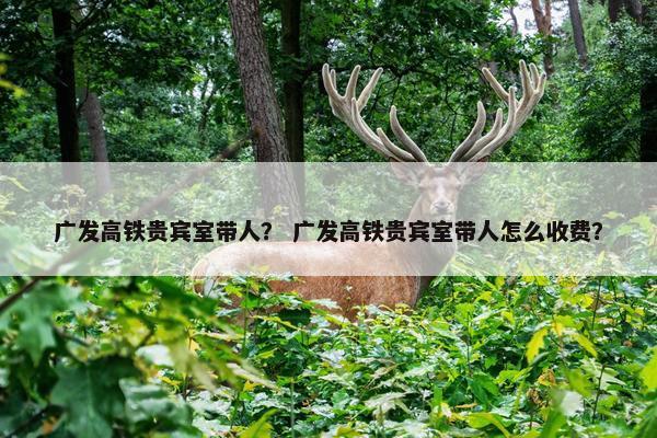 广发高铁贵宾室带人？ 广发高铁贵宾室带人怎么收费？