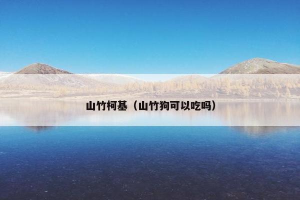 山竹柯基（山竹狗可以吃吗）