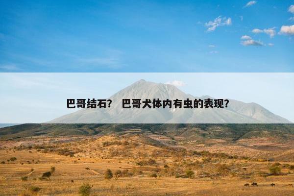 巴哥结石？ 巴哥犬体内有虫的表现？