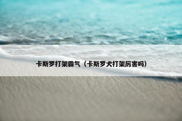 卡斯罗打架霸气（卡斯罗犬打架厉害吗）