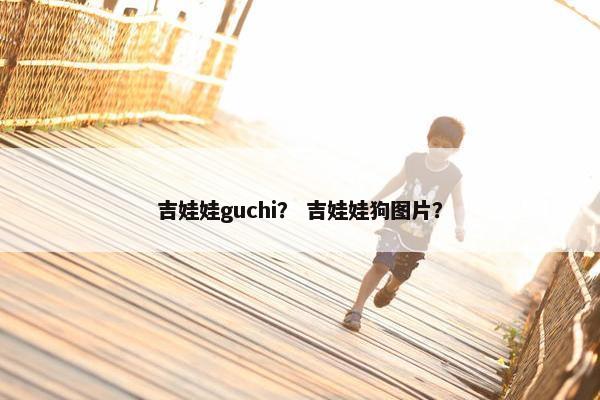 吉娃娃guchi？ 吉娃娃狗图片？