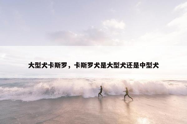 大型犬卡斯罗，卡斯罗犬是大型犬还是中型犬