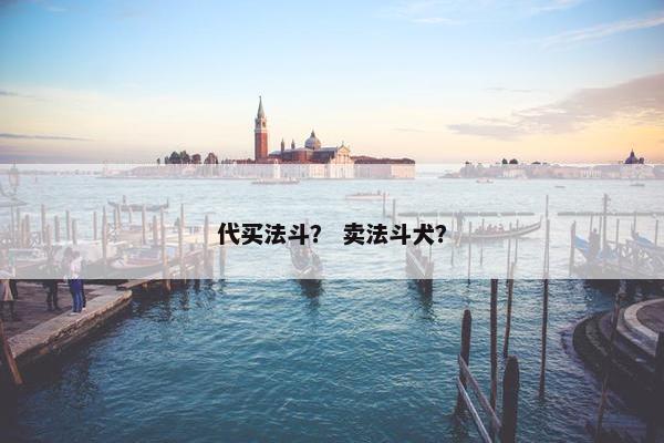 代买法斗？ 卖法斗犬？