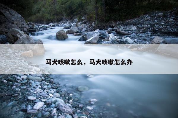 马犬咳嗽怎么，马犬咳嗽怎么办