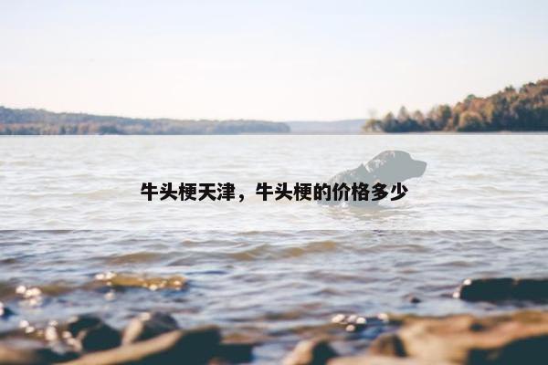 牛头梗天津，牛头梗的价格多少