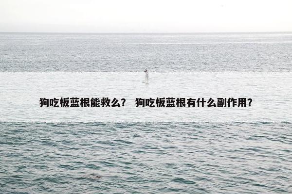 狗吃板蓝根能救么？ 狗吃板蓝根有什么副作用？