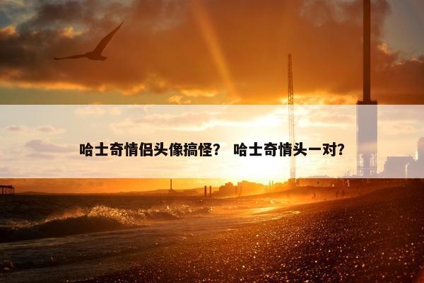 哈士奇情侣头像搞怪？ 哈士奇情头一对？