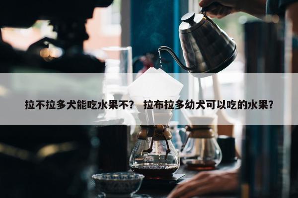 拉不拉多犬能吃水果不？ 拉布拉多幼犬可以吃的水果？