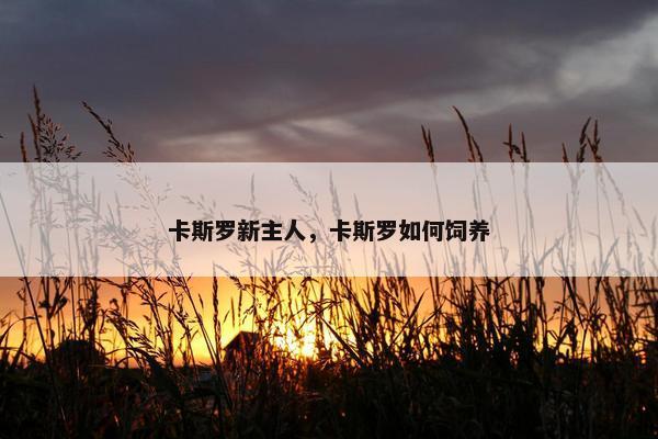 卡斯罗新主人，卡斯罗如何饲养