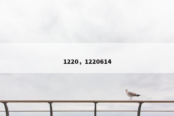 1220，1220614