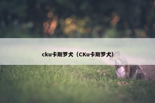 cku卡斯罗犬（CKu卡斯罗犬）