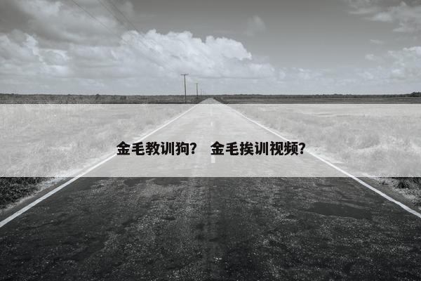 金毛教训狗？ 金毛挨训视频？