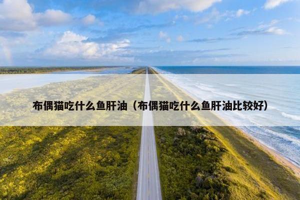 布偶猫吃什么鱼肝油（布偶猫吃什么鱼肝油比较好）