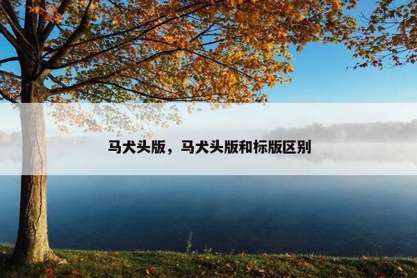 马犬头版，马犬头版和标版区别