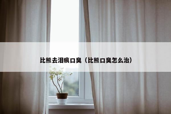 比熊去泪痕口臭（比熊口臭怎么治）