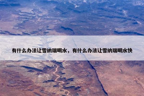 有什么办法让雪纳瑞喝水，有什么办法让雪纳瑞喝水快