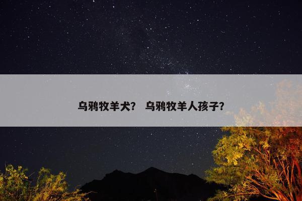 乌鸦牧羊犬？ 乌鸦牧羊人孩子？