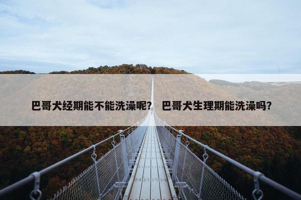 巴哥犬经期能不能洗澡呢？ 巴哥犬生理期能洗澡吗？