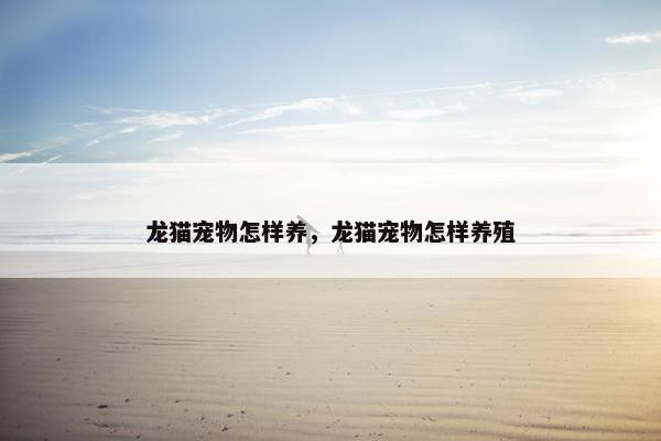 龙猫宠物怎样养，龙猫宠物怎样养殖