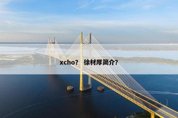 xcho？ 徐材厚简介？