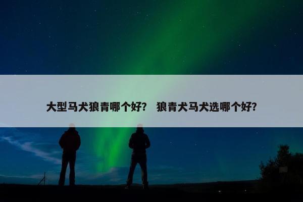 大型马犬狼青哪个好？ 狼青犬马犬选哪个好？