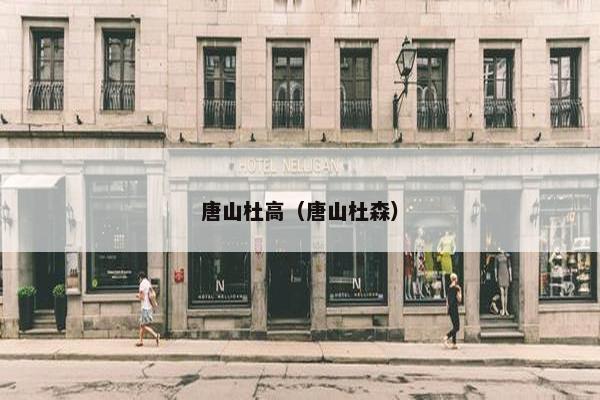 唐山杜高（唐山杜森）